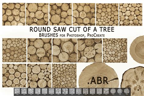 Round Saw Cut Of A Tree Brushes For Photoshop Procreate Abr By