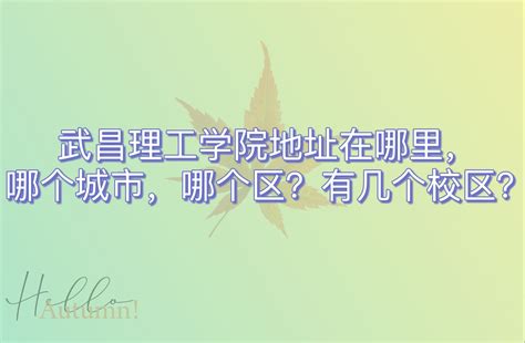 武昌理工学院地址在哪里，哪个城市，哪个区？有几个校区？