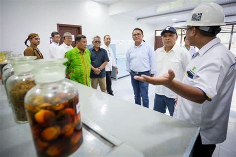 Pabrik Minyak Makan Merah Pertama Ri Beroperasi Januari