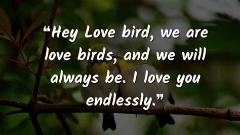 2025 Love Birds Quotes To Say "we Are Love Birds"