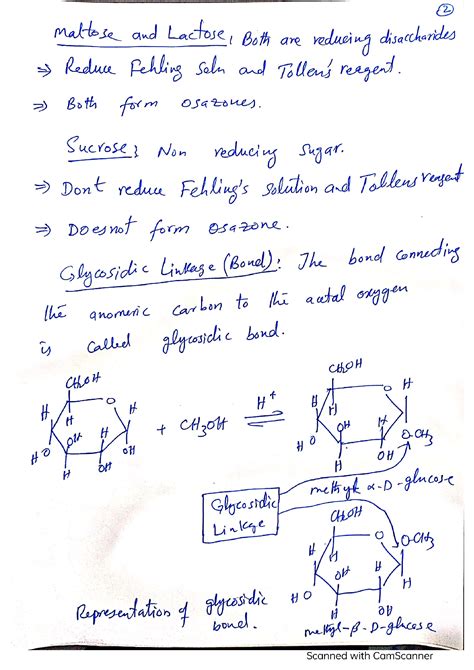 SOLUTION Disaccharide Polysaccharide Notes Studypool