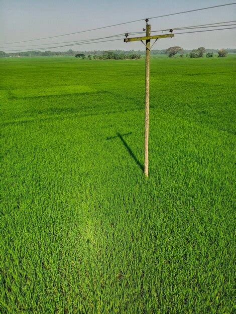 Un Champ Vert Avec Un Poteau Lectrique Au Milieu Photo Premium