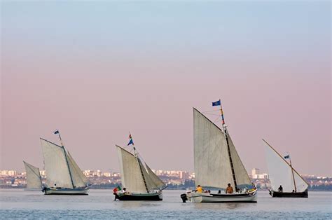 What Is "Regatta" In Sailing? (Explained For Beginners)