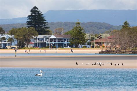 Lake Illawarra Shellharbour Area Visit Shellharbour