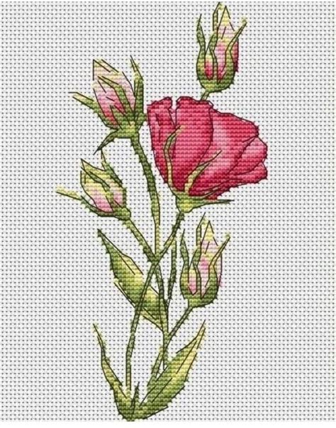 Cross Stitch Patterns Flower Ideas Colourful Cross Stitch Bright