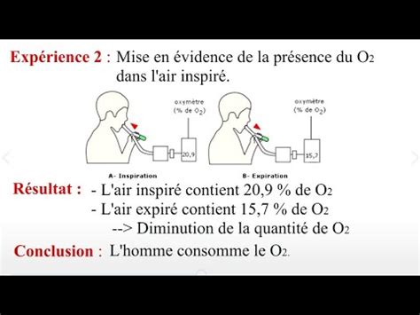 Mise en évidence des échanges gazeux respiratoires 1AC YouTube