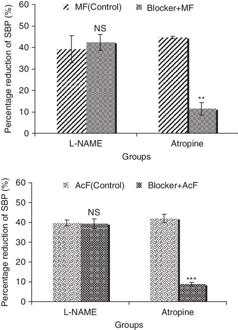 Effect Of Pretreatment With L Name Or Atropine On The Hypotensive