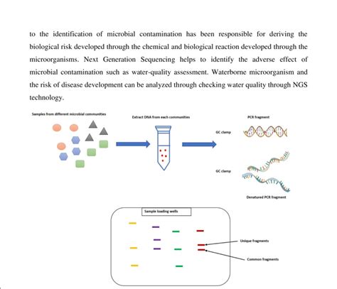 NGS technology used to analyze microbial community The figure 5 ...