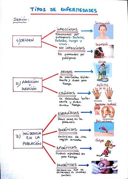 Tipos De Enfermedades Tipos De Enfermedades Mapas Mentales Mapas Porn