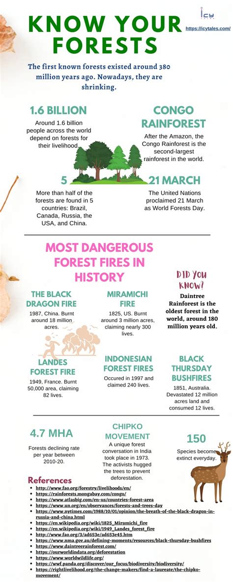 The Top Most Dangerous Forests In The World