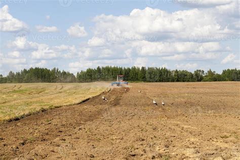 agricultural field after harvesting 9419829 Stock Photo at Vecteezy