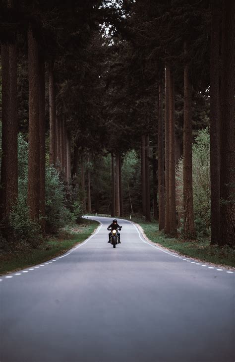 HD Wallpaper Black Motorcycle Motorcyclist Road Forest Movement