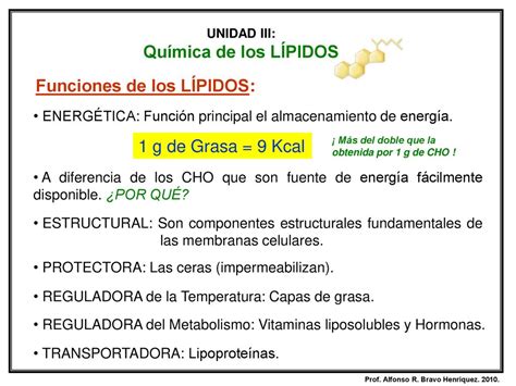 Química De Los LÍpidos Objetivos Unidad Iii Ppt Descargar