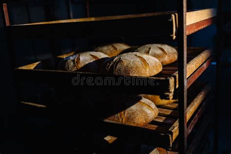 Making Bread In Bakery Uncooked Bread Dough On A Rack Ready For Baking