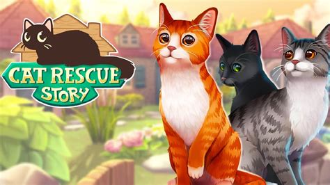 Cat Rescue Story Gameplay Youtube