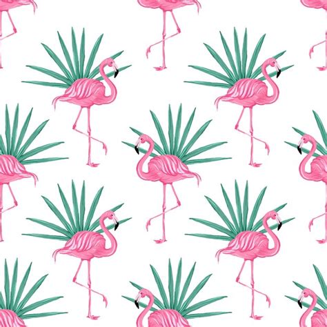 Patr N Tropical Hermoso Vector Transparente Con Flamencos Rosados Fondo