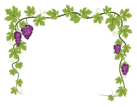 2600 Grape Vines Border Stock Illustrations Royalty Free Vector