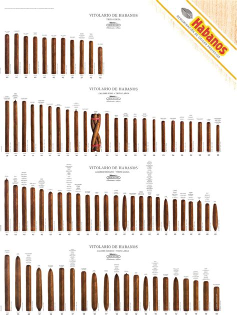 Habanos Cuban Cigar Size Guide Poster 4 Rows 48 X 36 Limited Edition