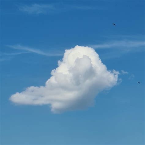 Premium Photo | A white cloud in the sky