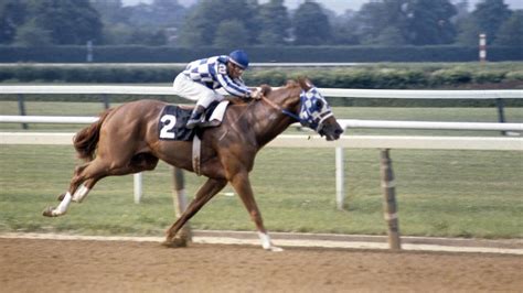 The 'Belmont Stakes winners' quiz | Yardbarker