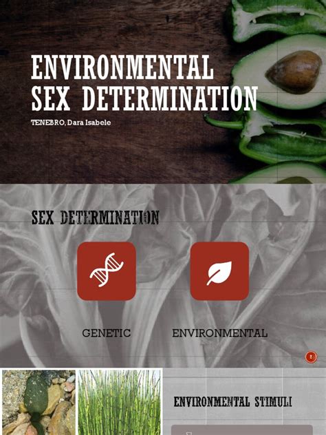 Environmental Sex Determination Pdf