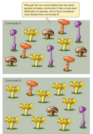 APES Unit 2 Biodiversity Flashcards Quizlet