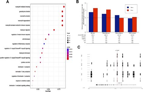 A Dot Plot Of Gene Ontology Enrichment Analysis The Diameter Download Scientific Diagram