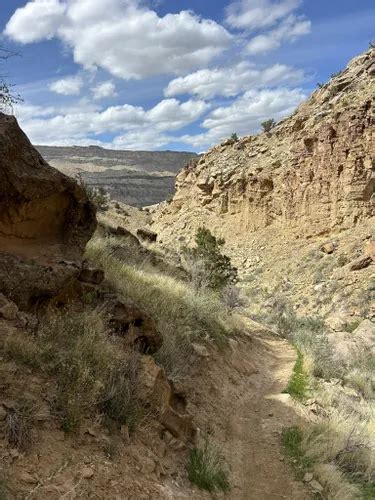 Best River Trails in Palisade | AllTrails