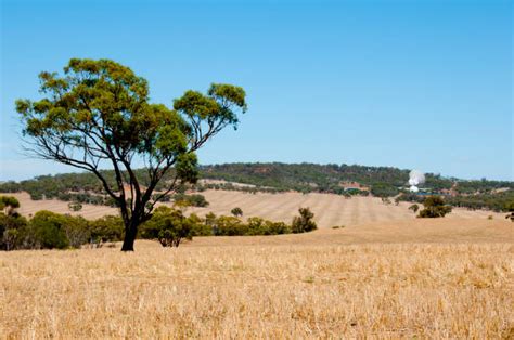 140 Wheatbelt Western Australia Stock Photos Pictures And Royalty Free