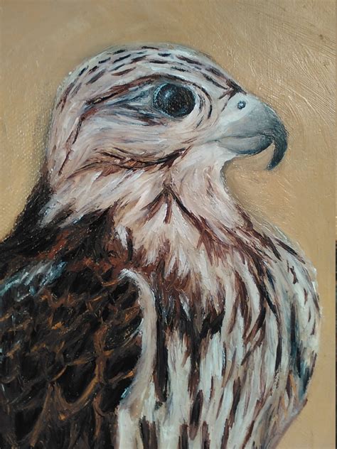 Falcon Painting at PaintingValley.com | Explore collection of Falcon ...