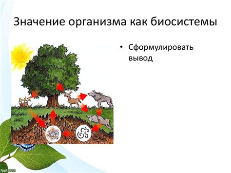 Организм как биосистема - презентация онлайн