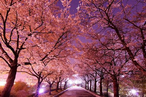 Korean Wallpaper Scenery - Beautiful Place