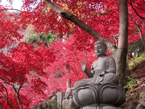 日本遺産のおすすめ観光スポット18選 日本の魅力を再発見！ トラベルjp 旅行ガイド