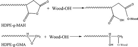 Reaction Mechanism Of Maleic Anhydride Mah Or Glycidyl Methacrylate