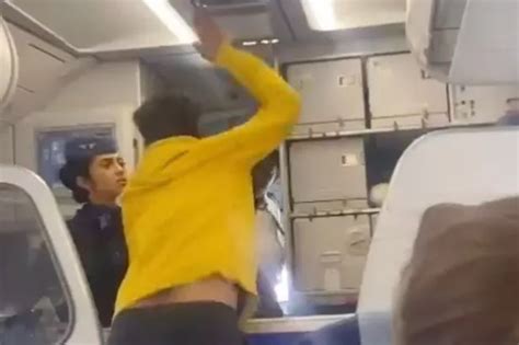 Furious Indigo Plane Passenger Attacks Pilot After 13 Hour Flight Delay