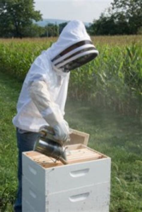 Become a Beekeeper - Learn the Beekeeping Business