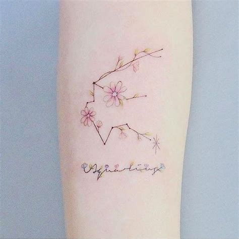 Tatuagens Perfeitas Para Quem Do Signo De Aqu Rio Star Tattoos