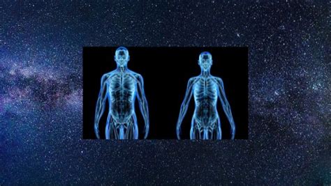 El Cuerpo Humano En La FilosofÍa