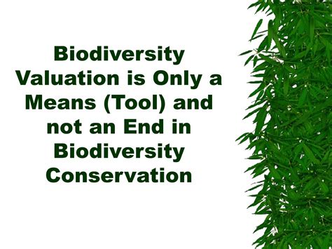 Economic Aspects Of Biodiversity Valuation And Mainstreaming Ppt