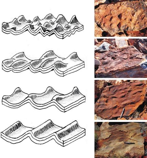 Line Drawing And Accompanying Photographs To Show The Range Of Bedforms