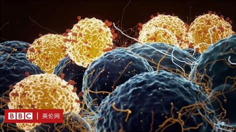 新冠疫苗：“一针还是两针”等重要问题背后的科学 Bbc 英伦网