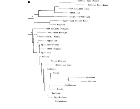 Neighbor Joining Dendrograms Showing The Relatedness Of The Metalsa