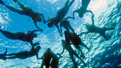 Cozumel Snorkeling Excursion | Port Adventures | Disney Cruise Line