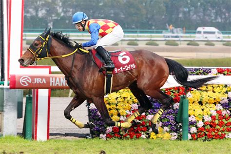 【阪神大賞典】長距離界の帝王へ5馬身差圧勝 天皇賞・春で2年前の雪辱果たす｜ニフティニュース