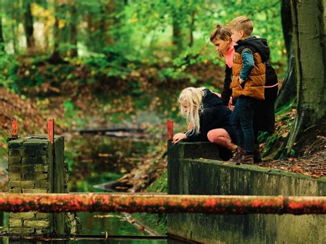 Waterloopbos In De Noordoostpolder Flevoland Visit Flevoland