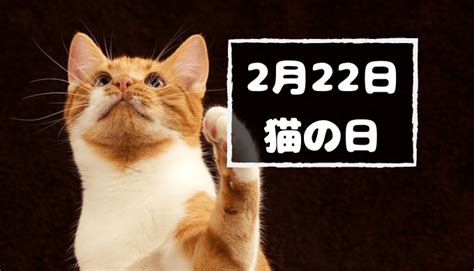 2 月 22 日 なん の 日