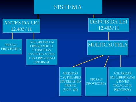 Sistema Depois Da Lei Antes Da Lei Multicautela Ppt Carregar