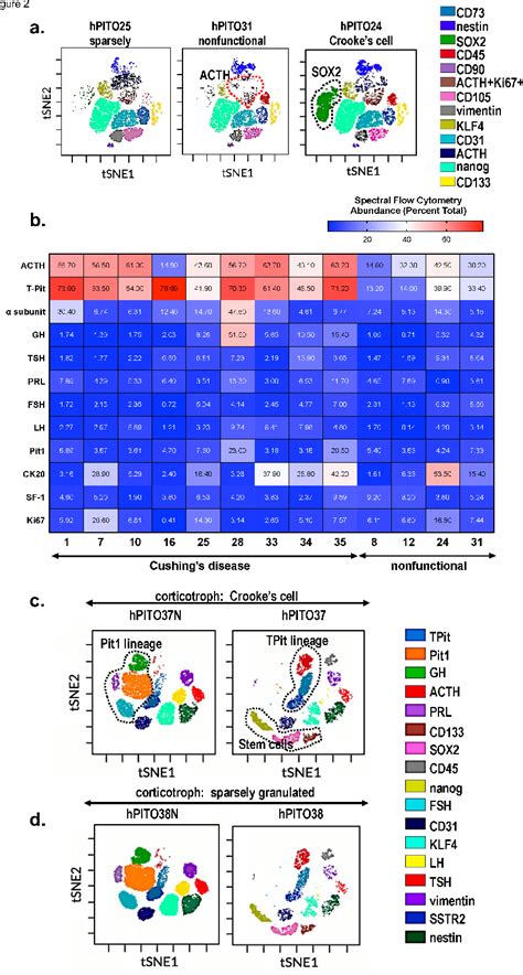 Figure From Development Of Human Pituitary Adenoma Organoids To