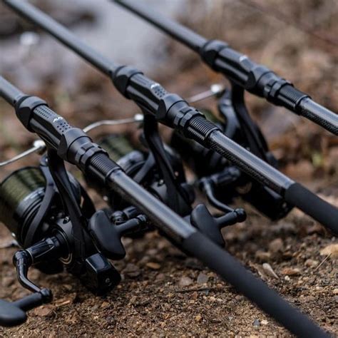 Top 7 Daiwa Carp Rods