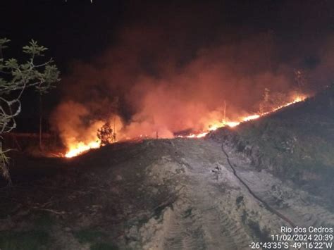 Incêndio atinge área de vegetação de 20 mil metros quadrados em Rio